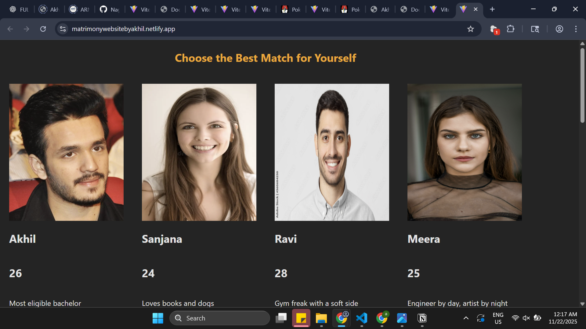 Matrimony website preview